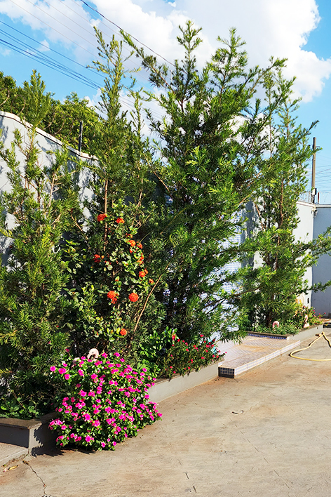 Yosemite National Park